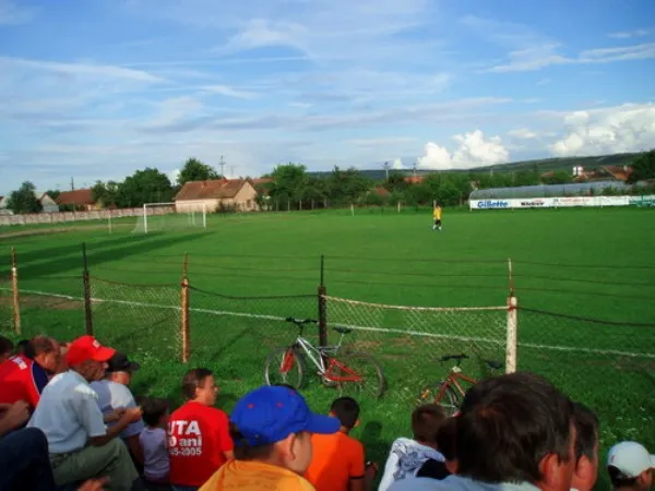 Stadionul Şoimii Stadion